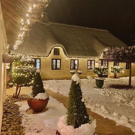Apartament Mindedalen - Idyl Taet Pa Alt Og Helt I Fred Billum Zewnętrze zdjęcie