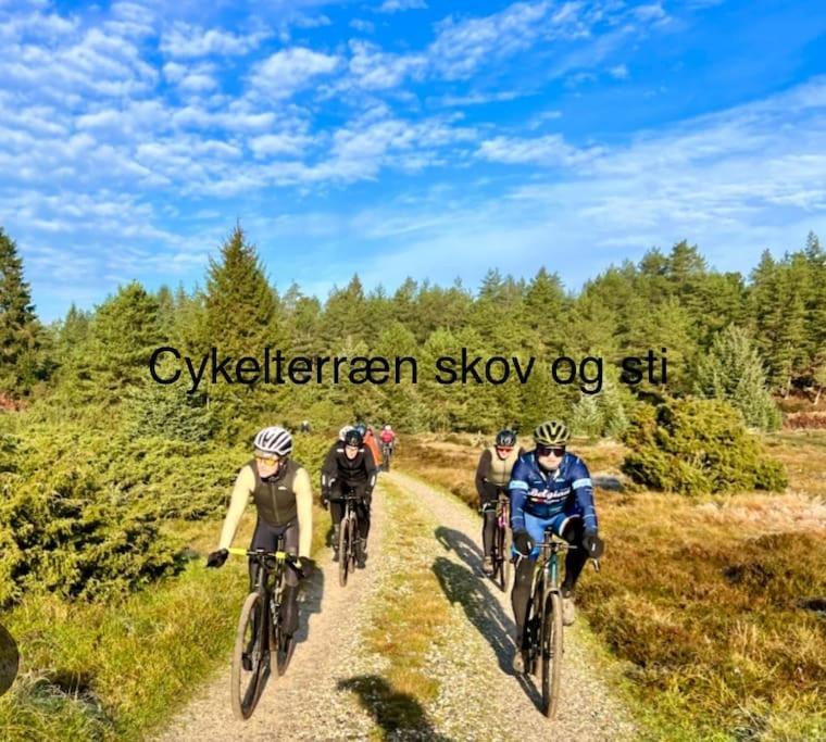 Apartament Mindedalen - Idyl Taet Pa Alt Og Helt I Fred Billum Zewnętrze zdjęcie