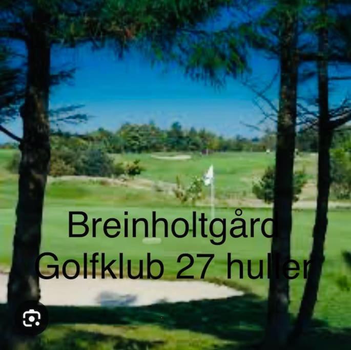 Apartament Mindedalen - Idyl Taet Pa Alt Og Helt I Fred Billum Zewnętrze zdjęcie
