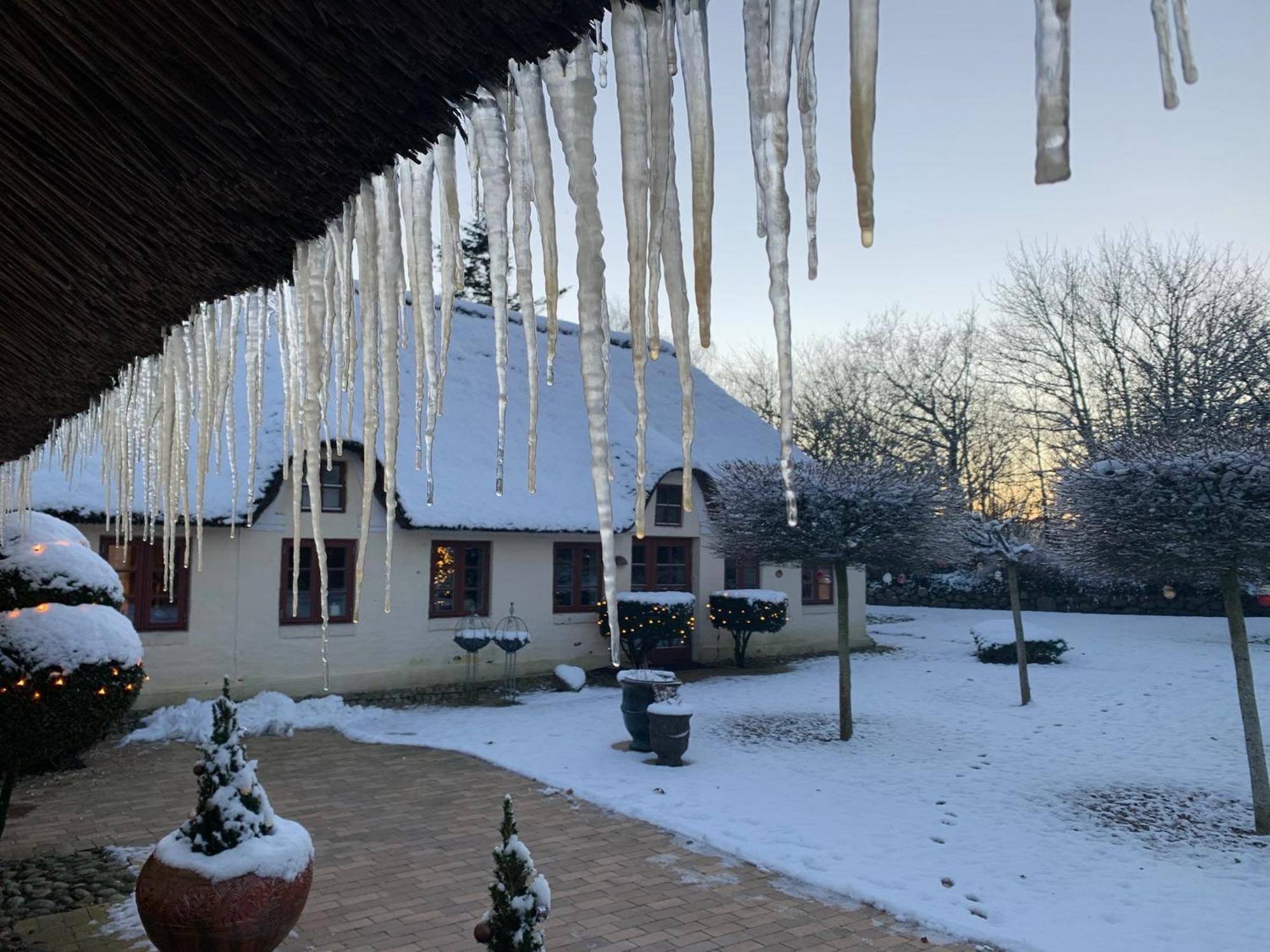 Apartament Mindedalen - Idyl Taet Pa Alt Og Helt I Fred Billum Zewnętrze zdjęcie