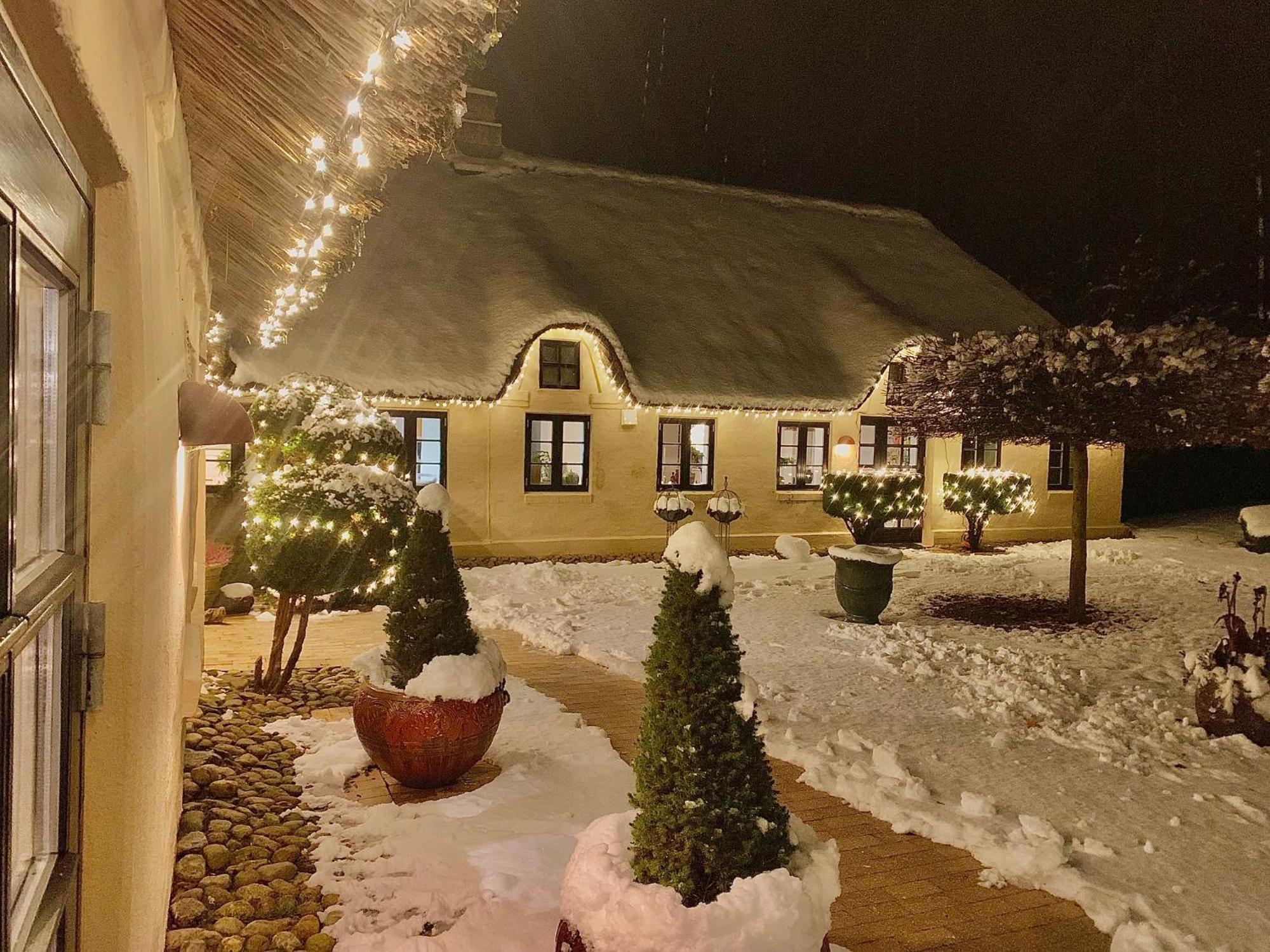 Apartament Mindedalen - Idyl Taet Pa Alt Og Helt I Fred Billum Zewnętrze zdjęcie