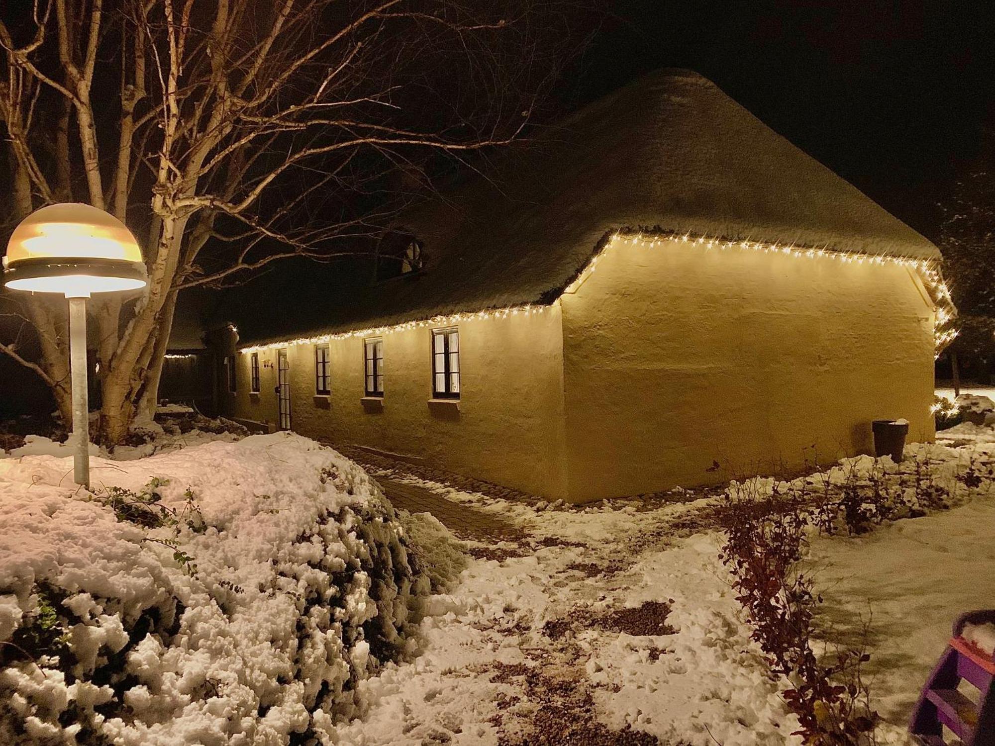 Apartament Mindedalen - Idyl Taet Pa Alt Og Helt I Fred Billum Zewnętrze zdjęcie
