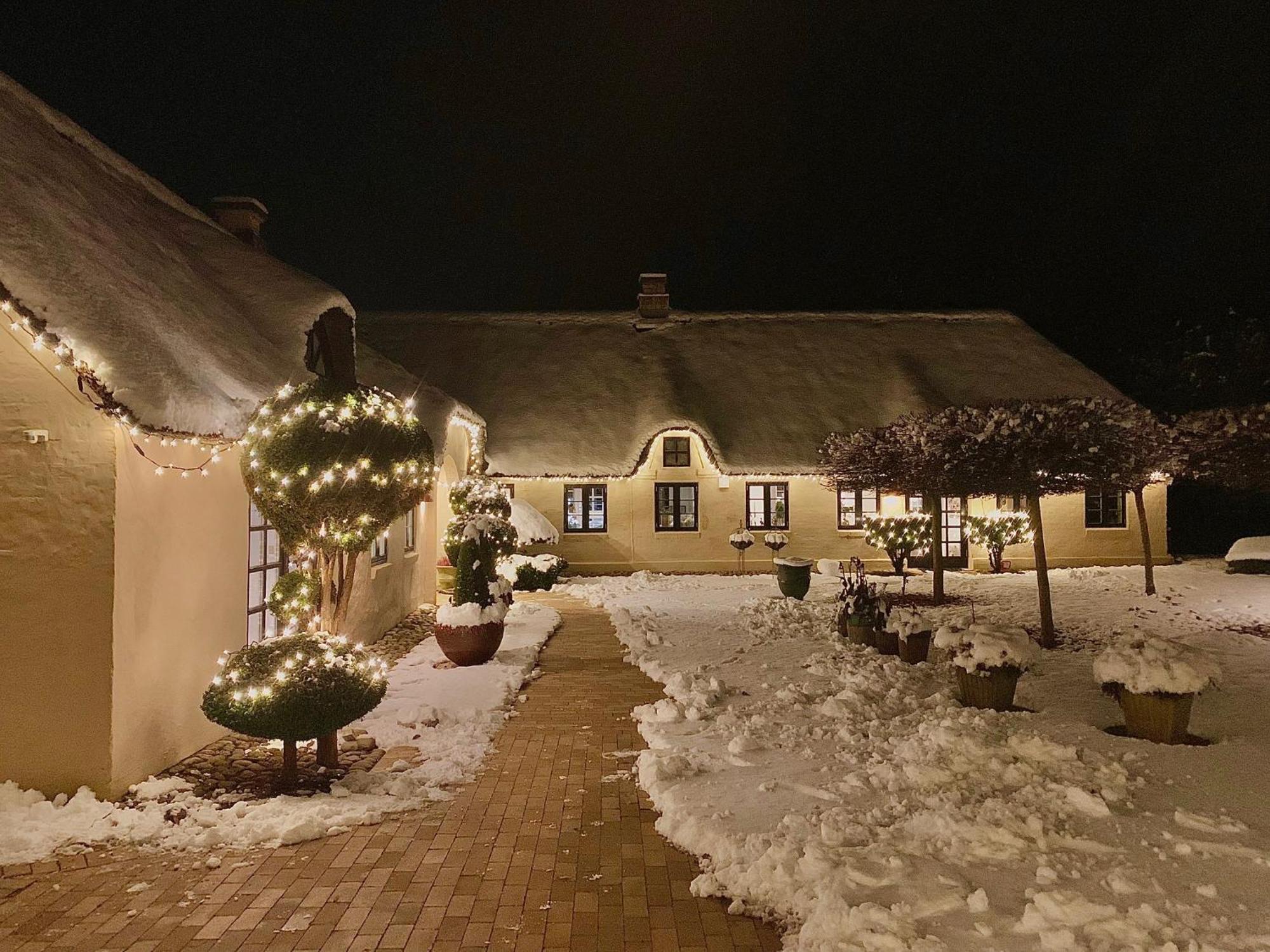 Apartament Mindedalen - Idyl Taet Pa Alt Og Helt I Fred Billum Zewnętrze zdjęcie